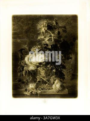 Un arrangement détaillé de diverses fleurs, y compris des roses et des pivoines, complété par une végétation luxuriante et des pétales délicats, dégageant un sentiment de beauté naturelle et d'élégance. La composition véhicule un classicisme intemporel, invitant à l'admiration pour ses détails complexes et sa présentation harmonieuse., Art classique avec une touche moderne réinventé par Artotop, Une pièce de fleurs, de la Houghton Gallery, 1778, Richard Earlom (Britannique, 1743-1822), d'après Jan van Huysum (néerlandais, 1682-1749), Angleterre, Mezzotint avec gravure, inscription gravée, en noir sur papier tissé ivoire Banque D'Images