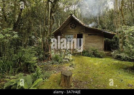 9 mai 2013 - Colombie - Santa Elena, Antioquia. 02 de mayo de 2013. La Reserva ecolÃƒÂ³gica Montevivo ofrece a sus huÃƒÂ©spedes descanso en medio de la naturaleza CrÃƒÂ©dito : CEET FotÃƒÂ³grafo : Guillermo Ossa (crédit image : © El Tiempo/GDA/ZUMAPRESS.com) Banque D'Images