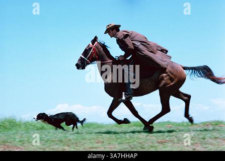 Australie. Queensland. Stockman à cheval lors d'un galop avec son chien. Banque D'Images