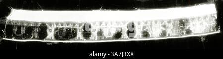 Une vue détaillée mettant en valeur une série de formes et de motifs interconnectés, rappelant une étude archéologique ou scientifique, révélant une séquence de formes qui suggèrent l'organisation et la structure., Art classique avec une touche moderne réinventé par Artotop, fragment, A.D. 500/1000, Moche-Wari, possiblement nord-centre côte, Pérou, Pérou, tissage de tapisserie fendue Banque D'Images