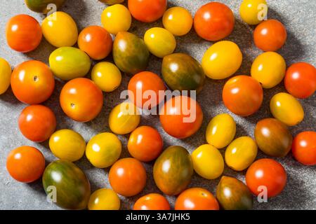Tomates cerises colorées biologiques héritées dans un bol à cuire Banque D'Images