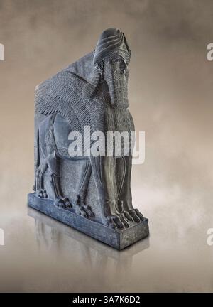 Sculpture de gypse assyrien d'un lion ailé à tête humaine moulé en plâtre. 865-860 av. J.-C., Nimrud North West Palace, original au British Museum inv no 118 Banque D'Images