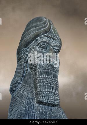 Sculpture de gypse assyrien d'un lion ailé à tête humaine moulé en plâtre. 865-860 av. J.-C., Nimrud North West Palace, original au British Museum inv no 118 Banque D'Images