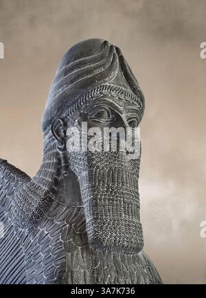 Sculpture de gypse assyrien d'un lion ailé à tête humaine moulé en plâtre. 865-860 av. J.-C., Nimrud North West Palace, original au British Museum inv no 118 Banque D'Images