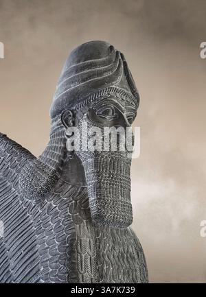 Sculpture de gypse assyrien d'un lion ailé à tête humaine moulé en plâtre. 865-860 av. J.-C., Nimrud North West Palace, original au British Museum inv no 118 Banque D'Images