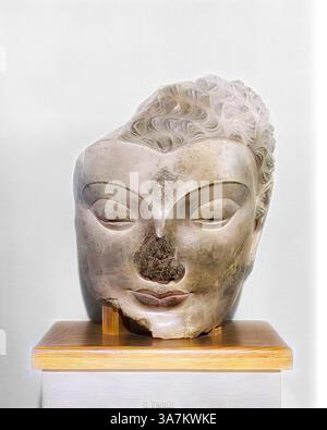 Une sculpture sereine en pierre d'une tête de Bouddha, avec des détails complexes dans les cheveux et les expressions faciales qui évoquent un sentiment de calme et de tranquillité. La pièce est exposée sur un piédestal en bois, soulignant sa signification artistique., Art classique avec une touche moderne réinventée par Artotop, tête de Bouddha, IVe-Ve siècle, Afghanistan, ancienne région du Gandhara, Gandhara, stuc avec pigment rouge et noir Banque D'Images