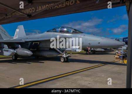 Avalon, Victoria, Australie. 25 mars 2025. F/A-18G Growler est vu à l'exposition extérieure de l'armée de l'air et de la défense du salon aéronautique international Avalon 2025. (Crédit image : © Alexander Bogatyrev/SOPA images via ZUMA Press Wire) USAGE ÉDITORIAL SEULEMENT ! Non destiné à UN USAGE commercial ! Banque D'Images