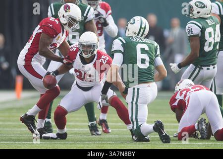 2 décembre 2012 : Kerry Rhodes (25 ans) réagit à sa deuxième interception avec le quarterback des jets de New York Mark Sanchez (6 ans) lors du match NFL entre les Cardinals de l'Arizona et les jets de New York au MetLife Stadium à East Rutherford, New Jersey. (Crédit image : © Chris Szagola/Cal Sport Media/ZUMAPRESS.com) Banque D'Images