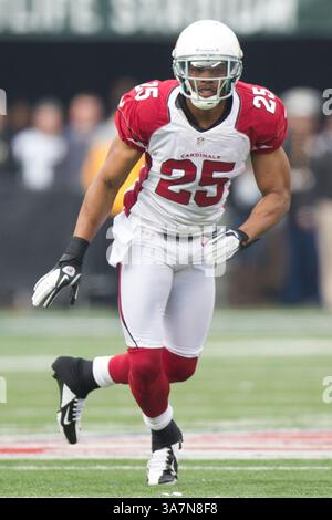 2 décembre 2012 : Kerry Rhodes (25 ans) en action lors du match NFL entre les Arizona Cardinals et les jets de New York au MetLife Stadium à East Rutherford, New Jersey. Les jets de New York ont battu les Cardinals de l'Arizona, 7-6.(image crédit : © Chris Szagola/Cal Sport Media/ZUMAPRESS.com) Banque D'Images
