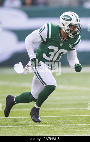 2 décembre 2012 : Laron Landry (30 ans) des jets de New York en action lors du match NFL entre les Cardinals d'Arizona et les jets de New York au MetLife Stadium à East Rutherford, New Jersey. Les jets de New York ont battu les Cardinals de l'Arizona, 7-6.(image crédit : © Chris Szagola/Cal Sport Media/ZUMAPRESS.com) Banque D'Images