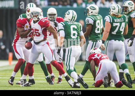 2 décembre 2012 : la sécurité libre des Arizona Cardinals Kerry Rhodes (25 ans) célèbre sa deuxième interception contre le quarterback des jets de New York Mark Sanchez (6 ans) lors du match NFL entre les Arizona Cardinals et les jets de New York au MetLife Stadium à East Rutherford, New Jersey. Les jets de New York ont battu les Cardinals de l'Arizona, 7-6.(image crédit : © Chris Szagola/Cal Sport Media/ZUMAPRESS.com) Banque D'Images