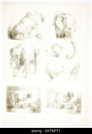 Une composition artistique présentant des croquis détaillés de divers animaux, dont un éléphant, un lion, un coq, une vache, et les chevaux, chacun rendu avec des lignes complexes et des ombres pour mettre en valeur leurs caractéristiques uniques., Art classique avec une touche moderne réinventée par Artotop, planche 32 de 38 tirée des œuvres de J. B. Huet, 1796–99, Jean Baptiste Huet, français, 1745-1811, France, gravure sur papier Banque D'Images