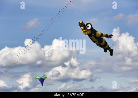 Cerf-volant, salamandre vole dans le ciel, Cirrus, Cumulus, festival de cerf-volant à Vinsebeck, Steinheim, Eggegebirge et parc naturel de la forêt sud de Teutoburg Banque D'Images
