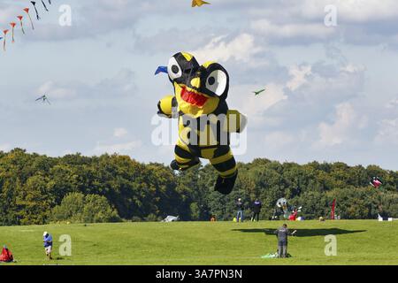 Cerfs-volants, Salamander vole dans le ciel, festival de cerf-volants à Vinsebeck, Steinheim, Eggebirge et parc naturel de la forêt sud de Teutoburg, Weserbergland, Banque D'Images