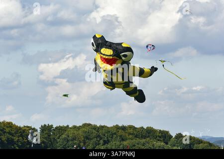 Cerfs-volants, Salamander vole dans le ciel, festival de cerf-volants à Vinsebeck, Steinheim, Eggebirge et parc naturel de la forêt sud de Teutoburg, Weserbergland, Banque D'Images