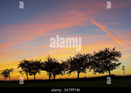 Arbres silhouettés contre un ciel nocturne coloré au coucher du soleil, Stolpen, Saxe, Allemagne, Europe Banque D'Images