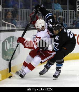 28 mars 2013 - San Jose, CA, USA - Scott Gomez des Sharks de San Jose (23) se bat pour la rondelle contre Ian White des Red Wings de Détroit (18) en première période au HP Pavilion de San Jose, Californie, le jeudi 28 mars 2013. (Crédit image : © Nhat V. Meyer/MCT/ZUMAPRESS.com) Banque D'Images