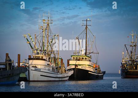 Bateaux de pêche, Steveston Harbour, Richmond, , Colombie-Britannique, Canada Banque D'Images
