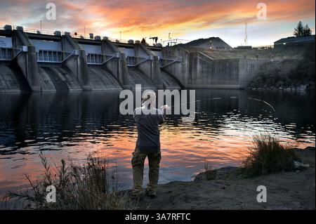 13 novembre 2012 - Sacramento, CA, États-Unis - Perry Selk de Cameron Park, Californie, jette sa ligne pour le saumon juste en dessous du barrage Nimbus à Gold River le mardi 13 novembre 2012. (Crédit image : © Randall Benton/MCT/ZUMAPRESS.com) Banque D'Images