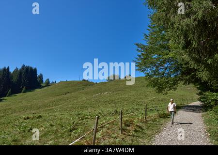 Jeune femme randonnée Mountain Trail à travers Alpine Meadows avec des pics de montagne dramatiques et Blue Sky. Voyageuse femme marchant sur le chemin entre Green Banque D'Images