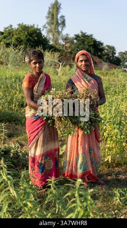 Portrait pleine longueur de deux femmes en vêtements colorés traditionnels debout souriant à la caméra dans une plantation d'arachides récolte Banque D'Images