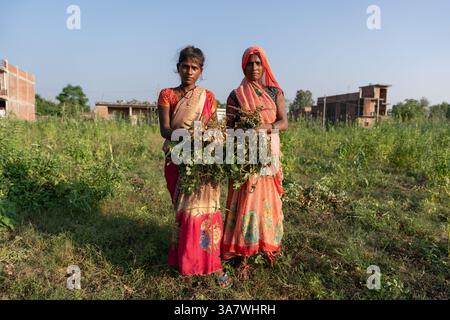 Portrait pleine longueur de deux femmes dans des vêtements colorés traditionnels dans une récolte de plantation d'arachides Banque D'Images