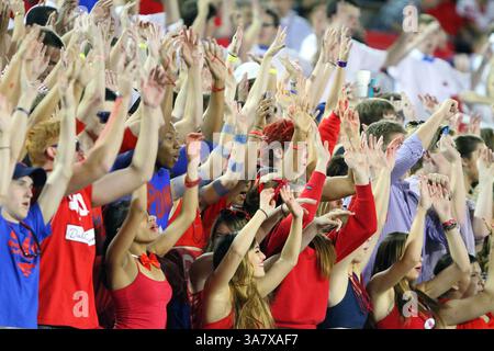 18 octobre 2012 - Dallas, Texas, États-Unis d'Amérique - les fans des Mustangs méthodistes du Sud célèbrent le match entre les Mustangs SMU et les Cougars de Houston au stade Gerald J. Ford de Dallas, Texas. SMU a battu Houston 72-42. (Crédit image : © Matt Pearce/ZUMAPRESS.com) Banque D'Images