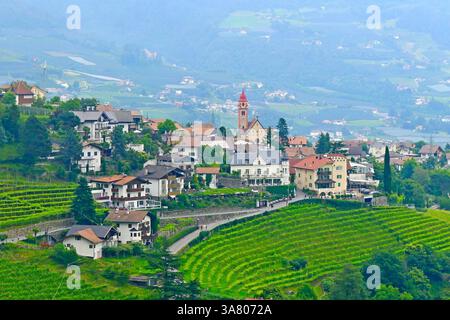Vue panoramique depuis la fenêtre du château médiéval Tyrol sur le charmant village de Tirolo et vignobles verdoyants sur la colline dans le Tyrol du Sud, Italie Banque D'Images