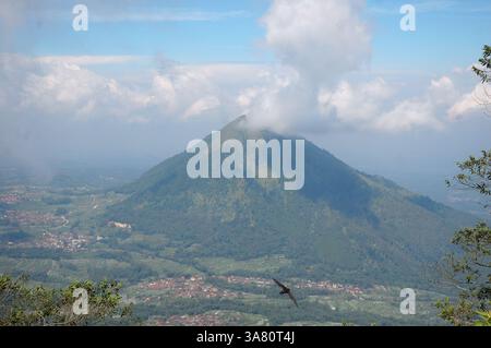 Une vue aérienne à couper le souffle des pics volcaniques s'élevant au-dessus d'une mer de nuages au lever du soleil Banque D'Images