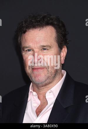 Hollywood, États-Unis. 27 mars 2025. Douglas Hodge arrivant à Amazon MGM Studios « G20 » Los Angeles première au TCL Chinese Theatre le 27 mars 2025 à Hollywood, CA. © Janet Gough/AFF-USA. Crédit COM : AFF/Alamy Live News Banque D'Images