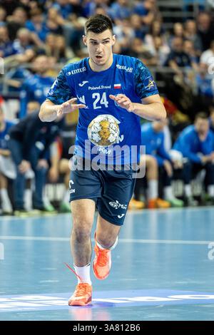 Orlen Arena, Plock, Pologne. 27 mars 2025. Ligue des Champions Handball ; Wisla Plock contre HBC Nantes, Gergo Fazekas (Wisla) crédit : action plus Sports/Alamy Live News Banque D'Images