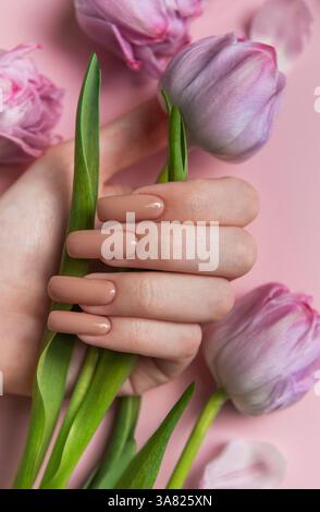 Main femelle avec de longs ongles avec vernis à ongles beige neutre tenant une fleur de tulipe sur un fond rose Banque D'Images