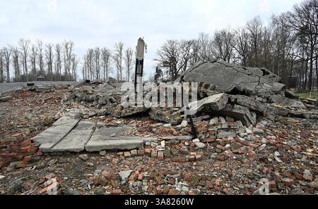Oswiecim, Pologne. 27 mars 2025. Ruines de la chambre à gaz et du crématorium de l'ancien camp de concentration allemand nazi d'Auschwitz-Birkenau près d'Oswiecim, Pologne, le jeudi 27 mars 2025. La Fondation du Mémorial et du Musée d'Auschwitz célèbre le 80e anniversaire de sa libération par l'armée soviétique en 1945. Au total, environ 1,1 millions de Juifs, Polonais, Roms ainsi que d'autres ethnies ont été exterminés dans le camp pendant la seconde Guerre mondiale photo de Joe Marino/UPI. Crédit : UPI/Alamy Live News Banque D'Images