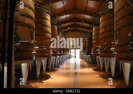 Chinchilla de Montearagon, Albacete, Castilla la Mancha, Espagne- 25 mars 2025 : cuves, fûts et cuves de vin de chêne dans la cave Los Aljibes Banque D'Images