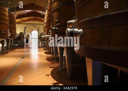 Chinchilla de Montearagon, Albacete, Castilla la Mancha, Espagne- 25 mars 2025 : cuves, fûts et cuves de vin de chêne dans la cave Los Aljibes Banque D'Images