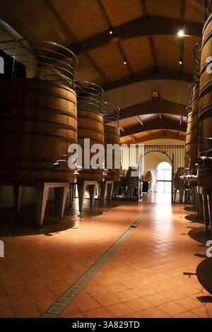 Chinchilla de Montearagon, Albacete, Castilla la Mancha, Espagne- 25 mars 2025 : cuves, fûts et cuves de vin de chêne dans la cave Los Aljibes Banque D'Images