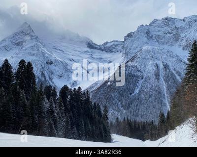 Sommets montagneux enneigés avec de denses forêts de sapins au premier plan. Un paysage hivernal atmosphérique avec des pentes enneigées crée une sensation de fraîcheur et Banque D'Images