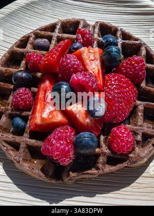 Gaufre circulaire au chocolat arrosée de miel et servie avec des fraises fraîches, des framboises et des bleuets sur une assiette compostable en feuilles de palmier. Banque D'Images