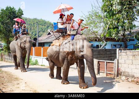 Camp d'équitation d'éléphant près de Chiang Rai, Thaïlande Banque D'Images