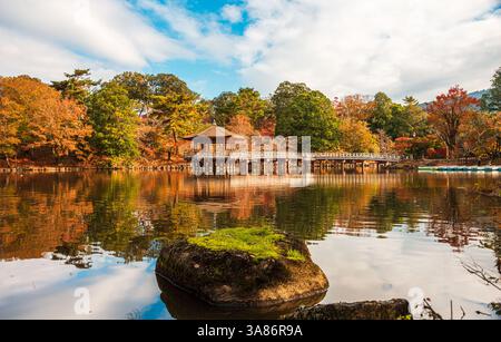 Roche couverte de mousse verte centrée dans un étang réfléchissant calme avec un environnement automnal, Nara, Honshu, Japon Banque D'Images