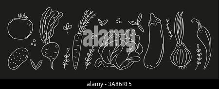 Doodle set de légumes frais et biologiques de la ferme, y compris tomates, pommes de terre, carottes, aubergines, citrouilles, oignons et ail sur fond noir. Illustration de Vecteur