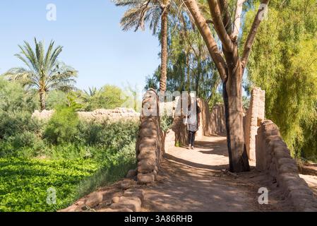 Femme marchant sur un chemin dans les palmeraies dattiers dans l'oasis d'Alula, province de Médine, Arabie Saoudite Banque D'Images