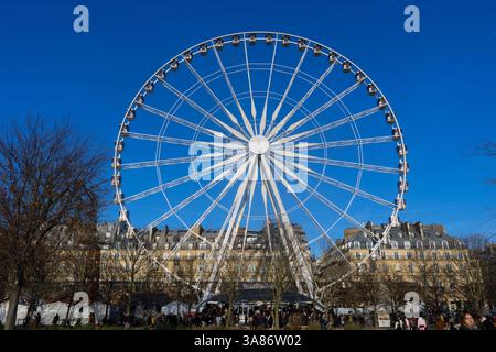 Grande roue à Tuileries, Paris, France Banque D'Images