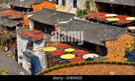 Piments et maïs séchés au soleil, Huangling, ancien village datant de la dynastie Ming, comté de Wuyuan, ville de Shangrao, province de Jiangxi, Chine Banque D'Images