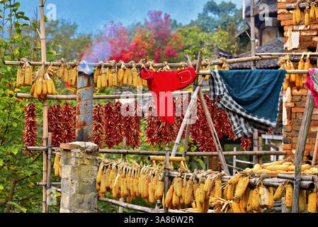 Séchage du maïs, des piments et du linge, Huangling, ancien village datant de la dynastie Ming, comté de Wuyuan, ville de Shangrao, province du Jiangxi, Chine Banque D'Images