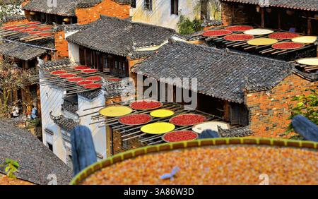 Piments et maïs séchés au soleil, Huangling, ancien village datant de la dynastie Ming, comté de Wuyuan, ville de Shangrao, province de Jiangxi, Chine Banque D'Images