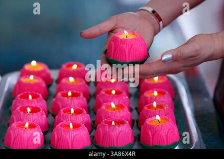 Bougies de fleurs de lotus roses symbolisant la croissance et le développement humains, au temple Thean Hou, Kuala Lumpur, Malaisie Banque D'Images