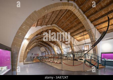 Navire punique, Musée archéologique Bagno Anselmi, Marsala, Trapani, Sicile, Italie, Méditerranée, Europe Banque D'Images