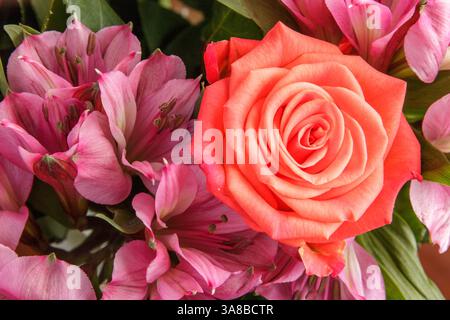 Gros plan d'une rose vibrante et de fleurs roses en pleine floraison Banque D'Images