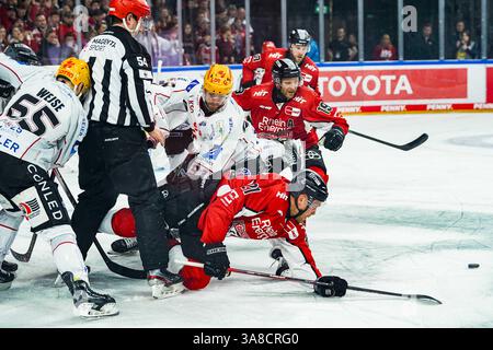 Allemagne. 28 mars 2025. Eishockey Penny-DEL Playoff-Viertelfinale Spiel6 Koelner haie - Pinguins Bremerhaven am 28.03.2025 in der Lanxess Arena in Koeln v.l.n.r., Christian Wejse ( Bremerhaven ), Miha Verlic ( Bremerhaven ), Juhani Tyrvaeinen ( Koeln ), Frederik Storm ( Koeln ) Foto : Revierfoto crédit : ddp Media GmbH/Alamy Live News Banque D'Images